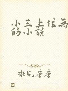 小三上位无三观的小说