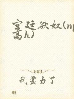 宫廷欲奴(np高h)