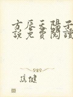 方辰天阳子的小说免费阅读