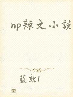 np辣文小说