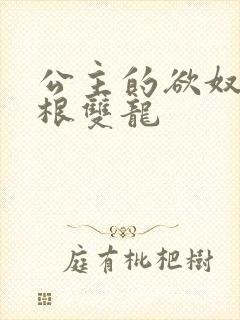 公主的欲奴h四根双龙