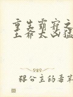 重生霸宠之摄政王爷太凶猛