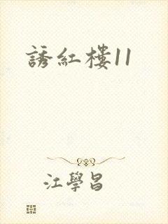 诱红楼11