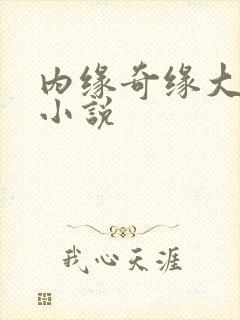 内缘奇缘大团圆小说