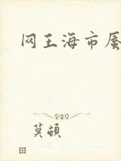 网王海市蜃楼