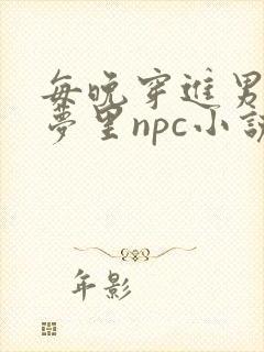 每晚穿进男神的梦里npc小说