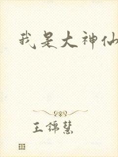 我是大神仙小说