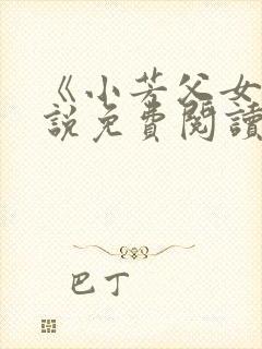 《小芳父女》小说免费阅读