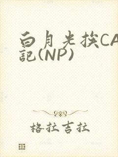 白月光挨CAO记(NP)