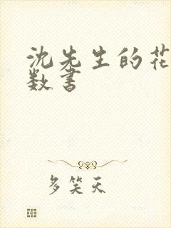 沈先生的花式调数书