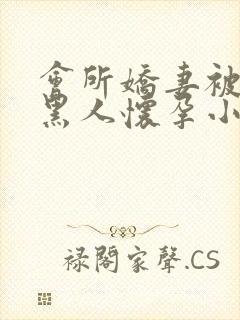 会所娇妻被多个黑人怀孕小说