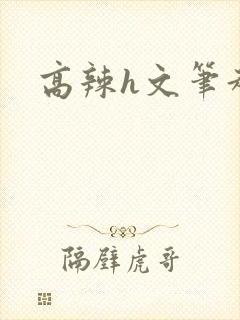 高辣h文笔趣阁
