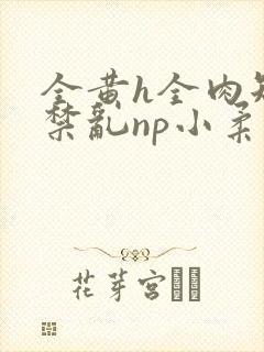 全黄h全肉短篇禁乱np小柔