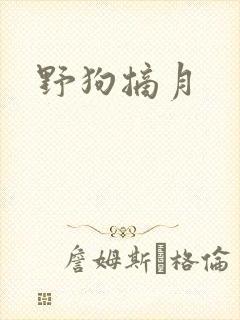 野狗摘月