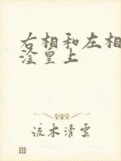 右相和左相一起淦皇上