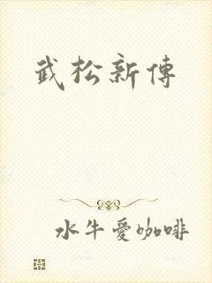 武松新传