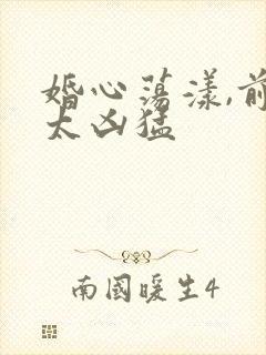 婚心荡漾,前夫太凶猛