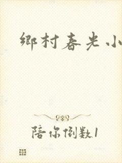 乡村春光小说