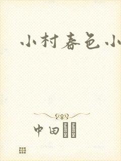 小村春色小说