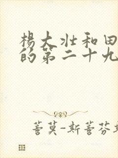 杨大壮和田桂花的第二十九