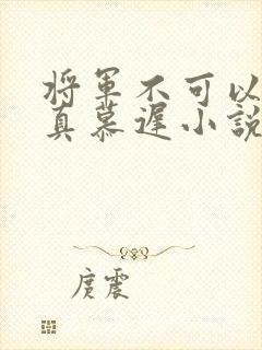 将军不可以魏云真慕迟小说笔趣阁
