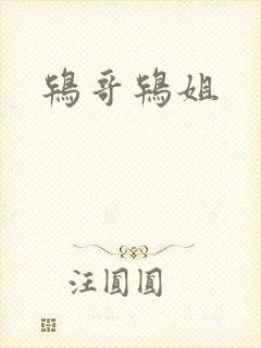 鸨哥鸨姐