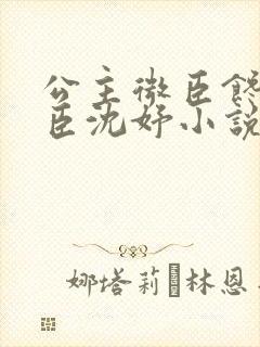 公主微臣馋了微臣沈妤小说