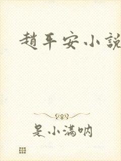 赵平安小说主角