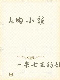 h肉小说