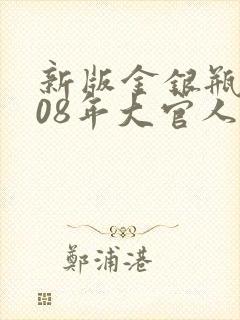 新版金银瓶2008年大官人