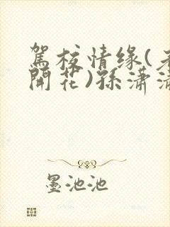 驾校情缘(老树开花)孙潇潇笔趣阁