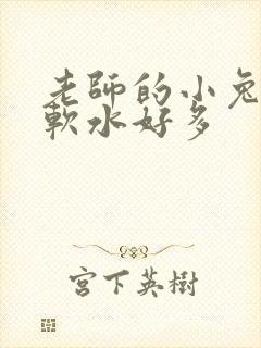 老师的小兔子好软水好多