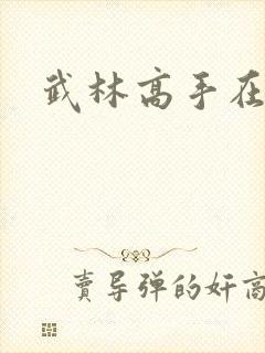 武林高手在异界