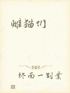 雌猫们