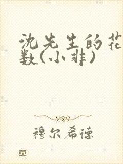 沈先生的花式调数(小非)