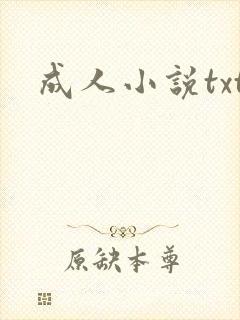 成人小说txt