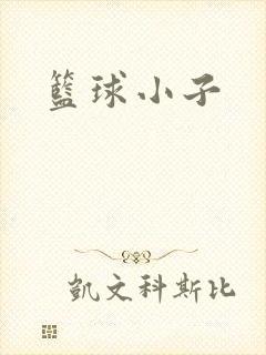 篮球小子
