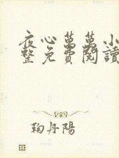 夜心万万小说完整免费阅读全文