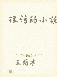 很污的小说