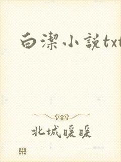 白洁小说txt