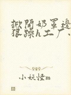 掀开奶罩边躁狠狠躁h工厂小说