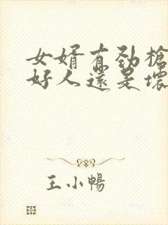 女婿有劲枪枪是好人还是坏人