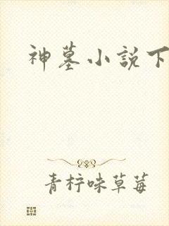 神墓小说下载