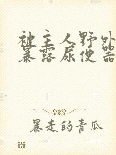 被主人野外调教暴露尿便器