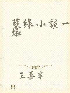 孽缘小说一家乱炖