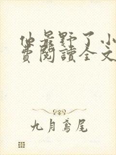 他最野了小说免费阅读全文