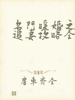 名门暖婚之权爷追妻攻略全文免费阅读