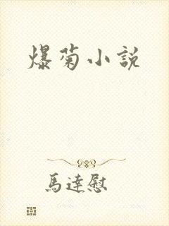 爆菊小说