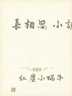 长相思 小说