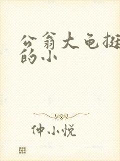 公翁大龟挺进我的小